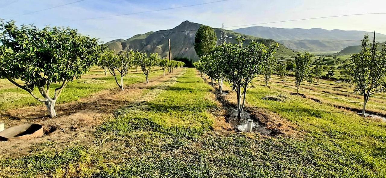 Greenfield Gh Yeghegnadzor Exterior foto